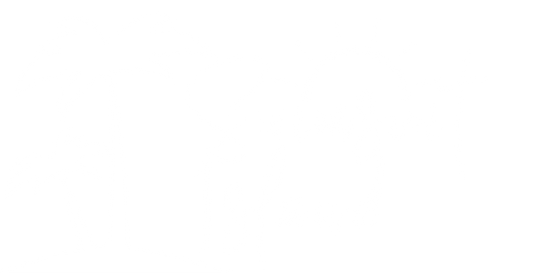 Swimsuit Island
